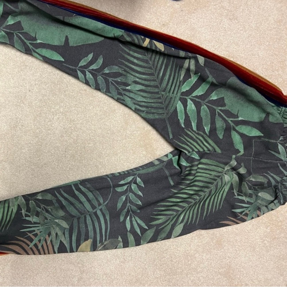 Aviator Nation tiger sweatpants